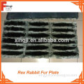Rex Rabbit Fur Plates